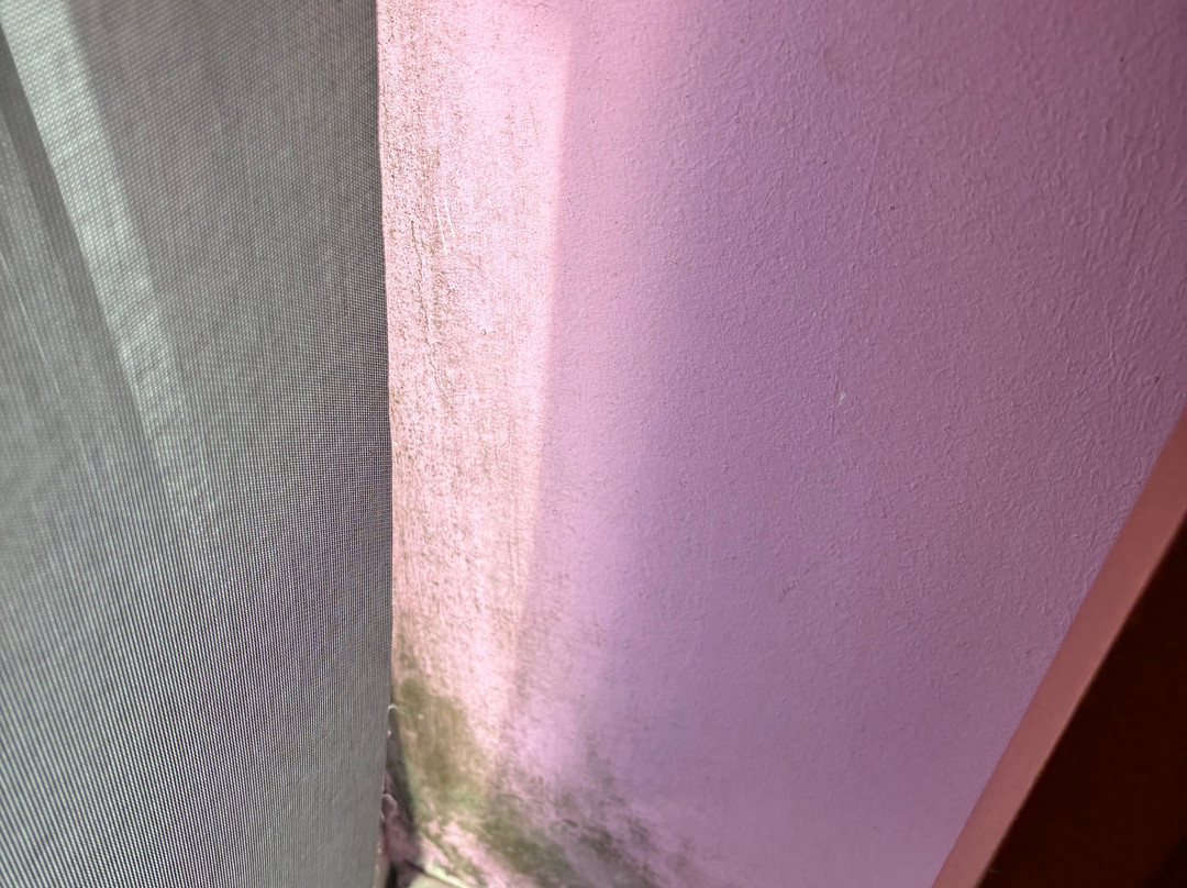 Pension Pardellas主图