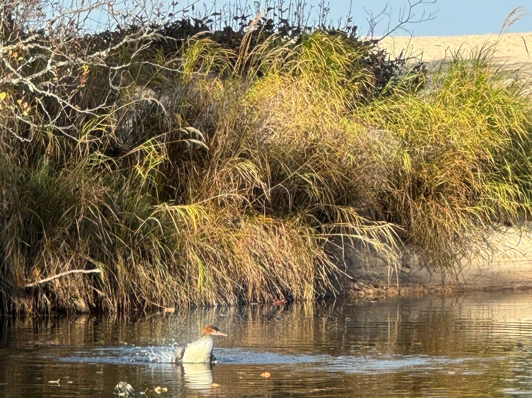 Miner's Beach-Shingleton必去景点