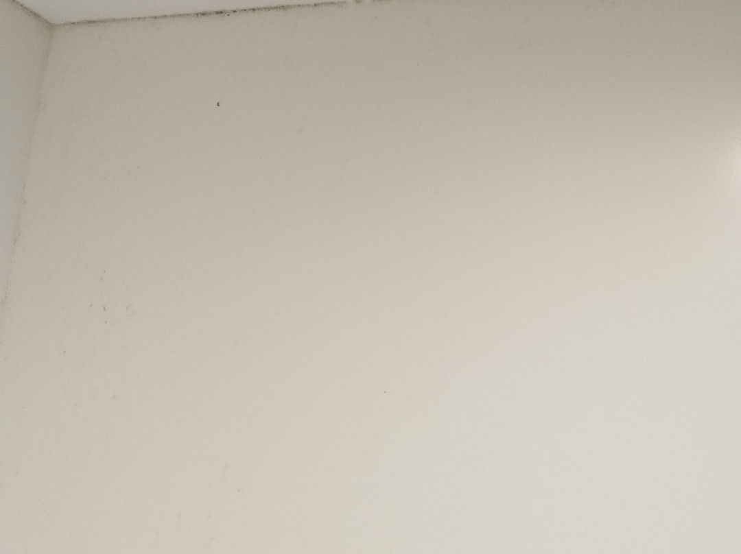 Fitzherbert Regency Motor Lodge主图