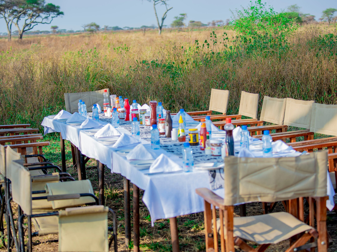 Shine Balloon Safaris-塞伦盖蒂国家公园必去景点