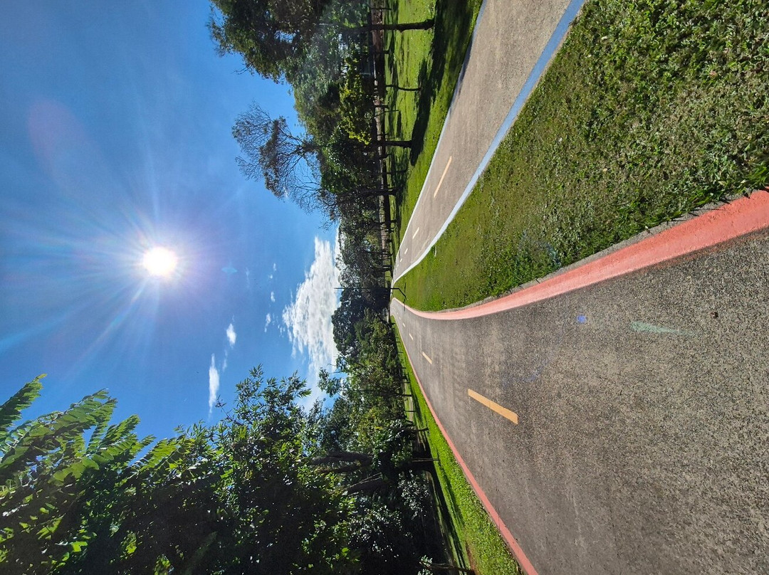 Parque Da Cidade-容迪亚伊必去景点