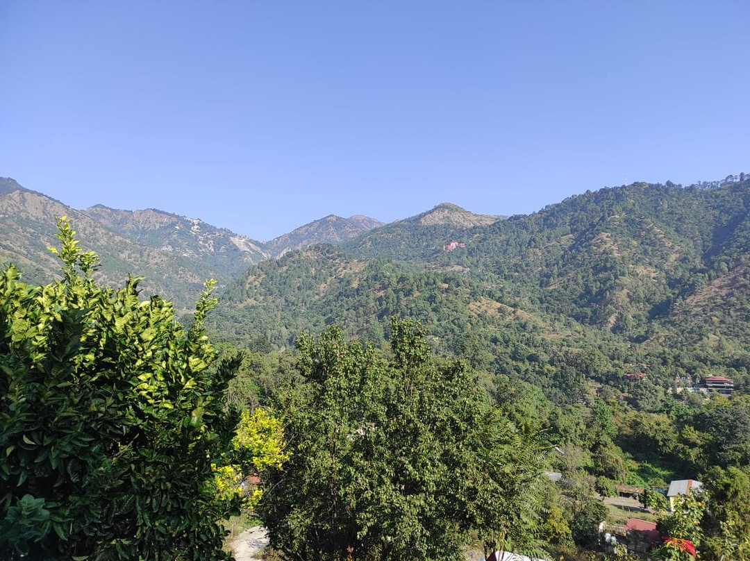 Rosastays Jeolikote, Nainital主图