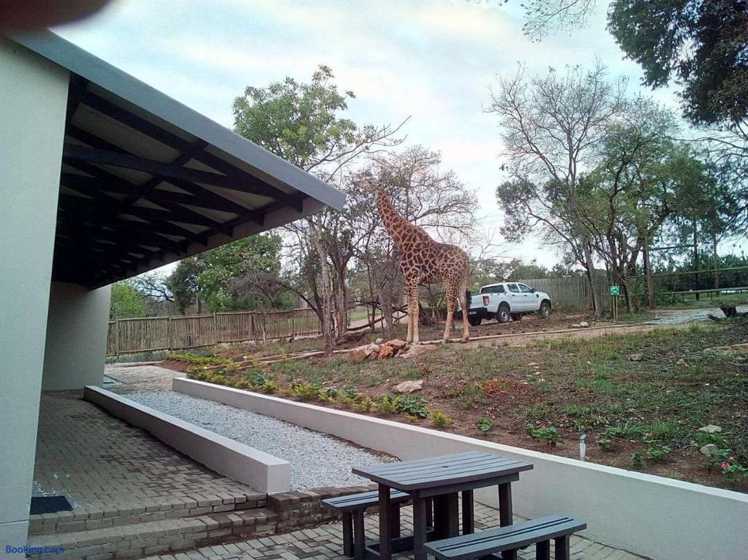 Kiepersol酒店住宿-Hazyview Buffalo Game Lodge