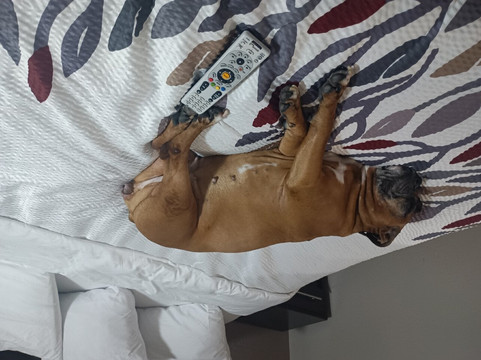 斯托克顿红顶酒店主图