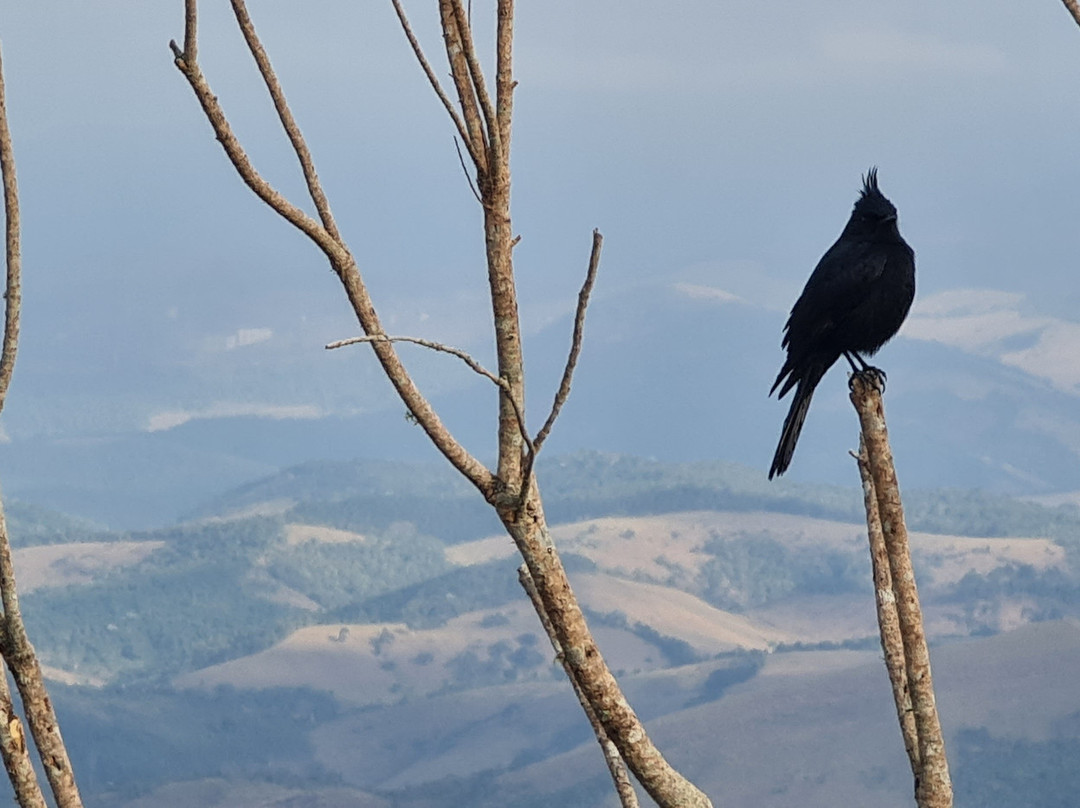 Janela do Céu-Lima Duarte必去景点