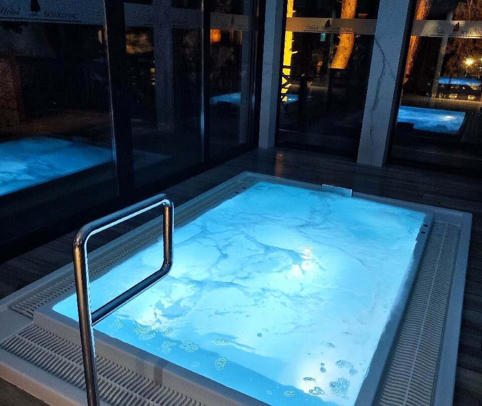 Hotel Borkovac主图