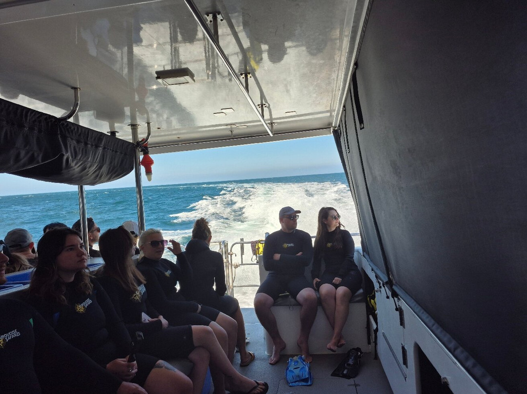 Sea Lion Charters-朱里恩湾必去景点