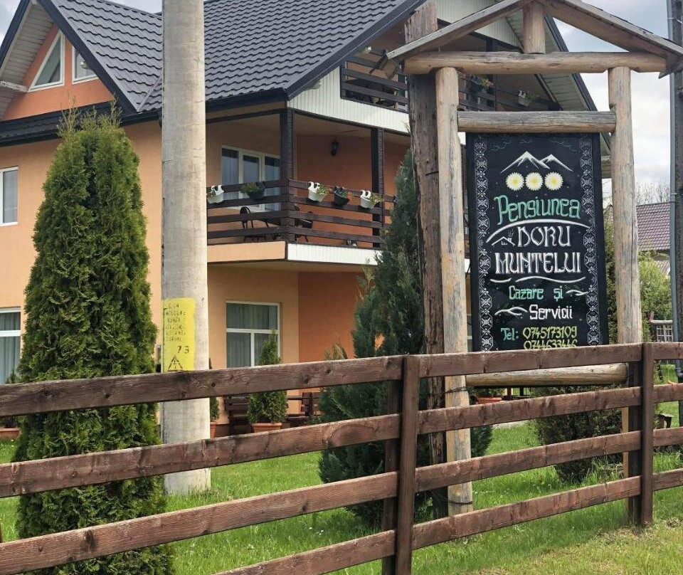 Pensiunea Doru Muntelui