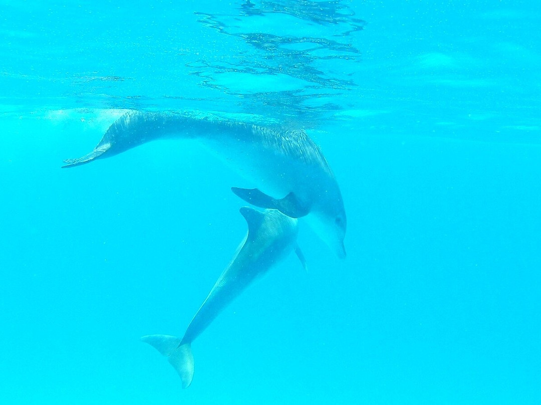 Jack Daniels-必韦久必去景点