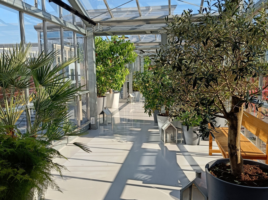 Zoku Copenhagen主图