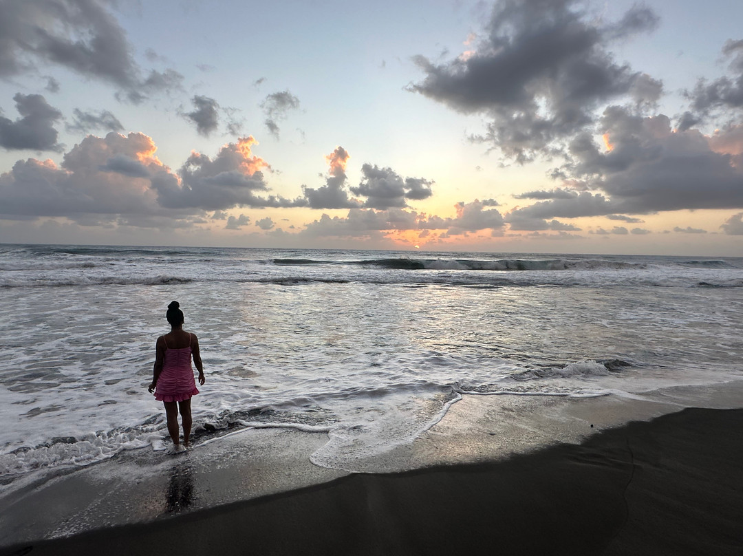 Rosalie Bay Eco Resort & Spa主图