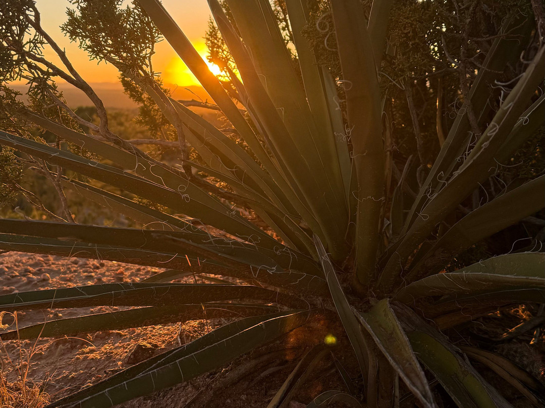 Four Seasons Resort Rancho Encantado Santa Fe主图