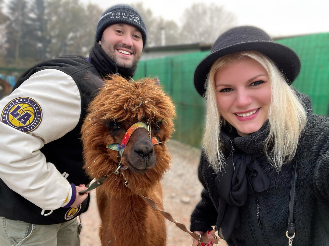 Alpacamp Il Campo Degli Angeli景点图片