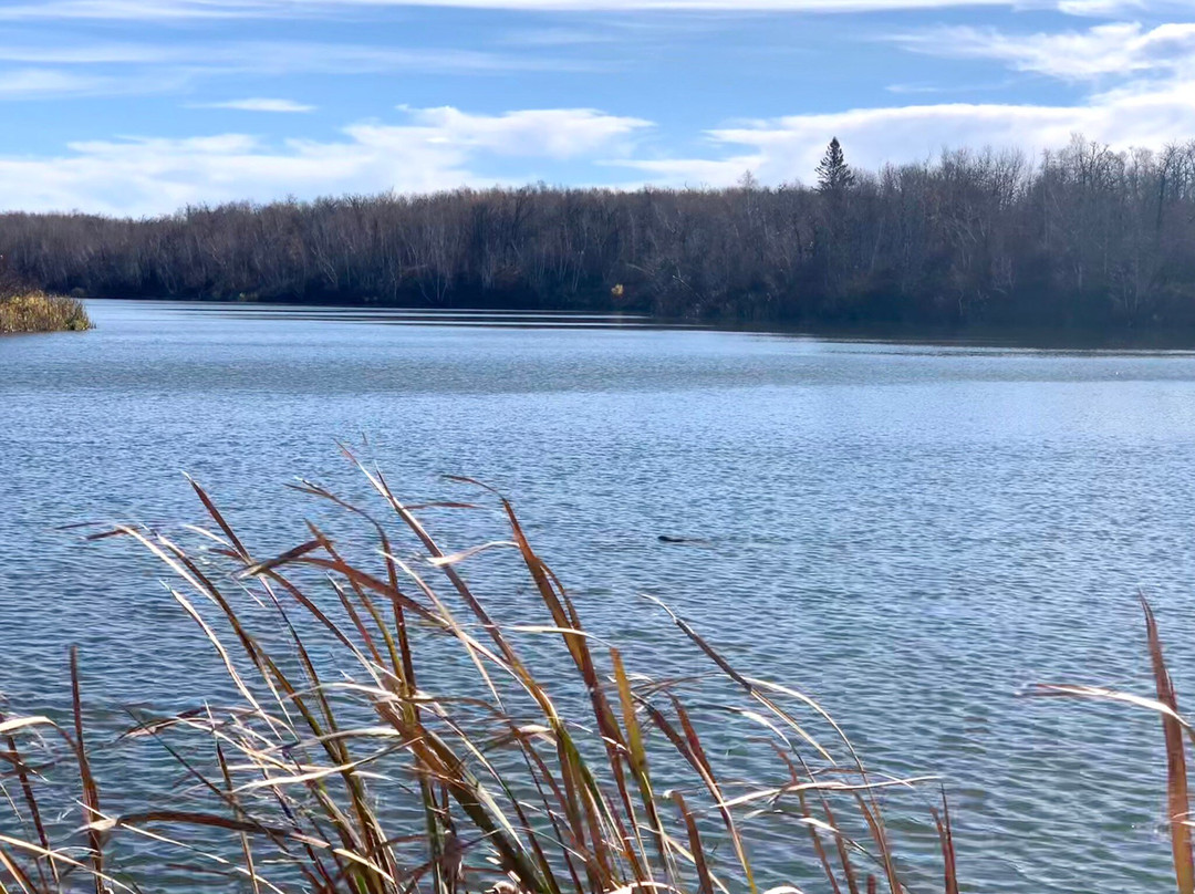 International Peace Gardens-波伊斯维因必去景点