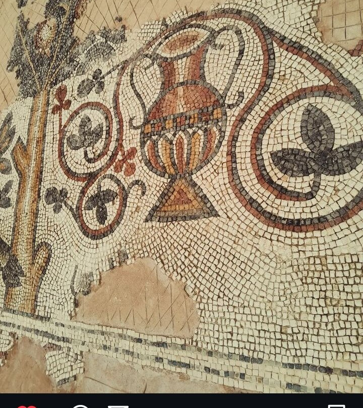 Madaba Archaeological Museum-米底巴必去景点