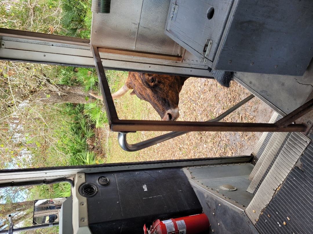 Babcock Ranch Preserve-蓬塔戈尔达必去景点