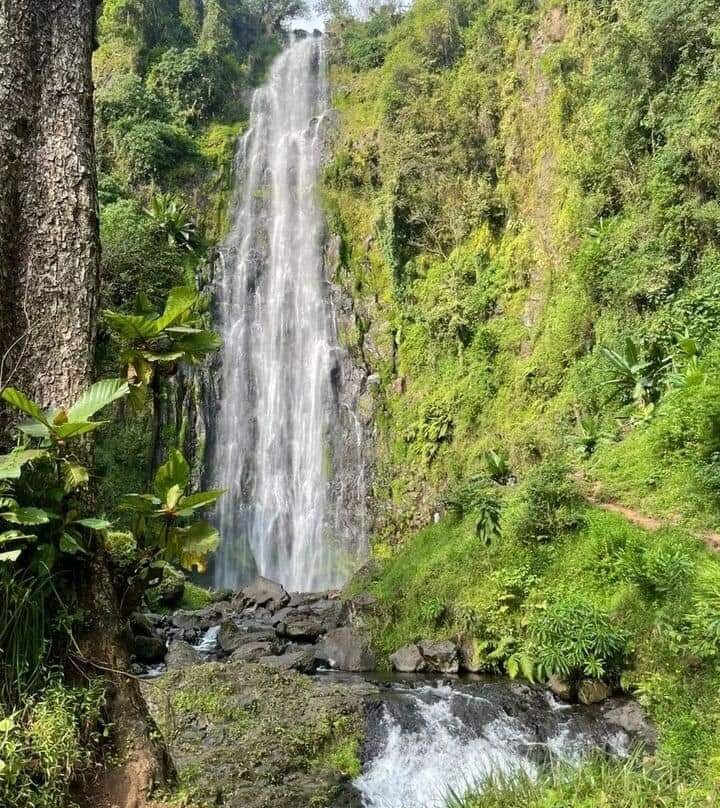Malasusa Falls-Tukuyu必去景点