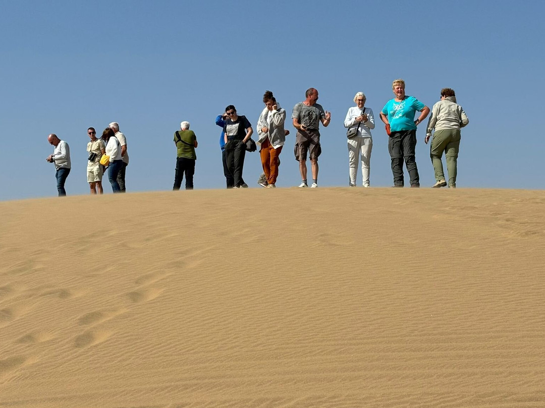 Wildlife Adventures Tours & Safari's Namibia-斯瓦科普蒙德必去景点