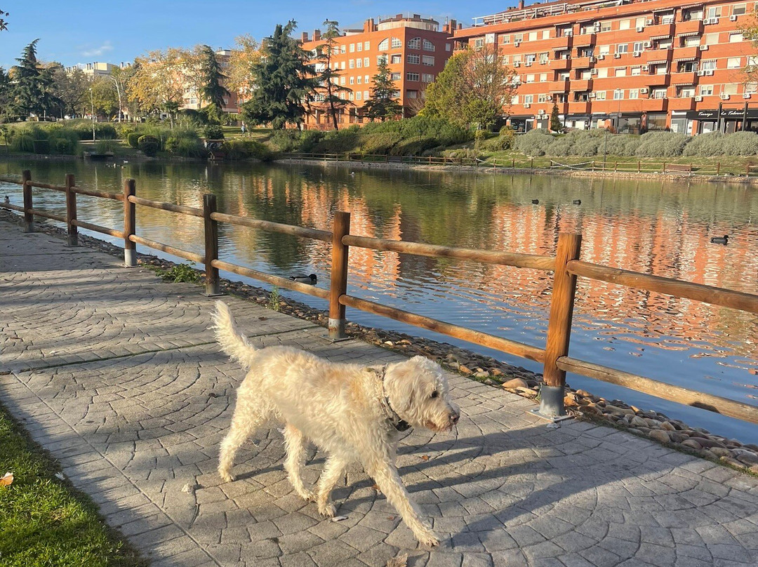 Reston Valdemoro主图