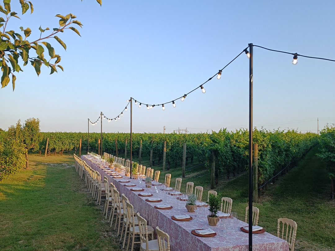 Cantina Borgo la Caccia-Pozzolengo必去景点