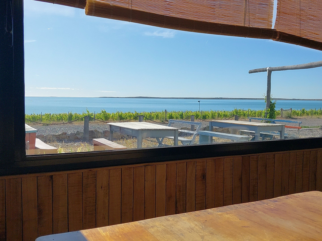 Bahia Bustamante-Province of Chubut必去景点