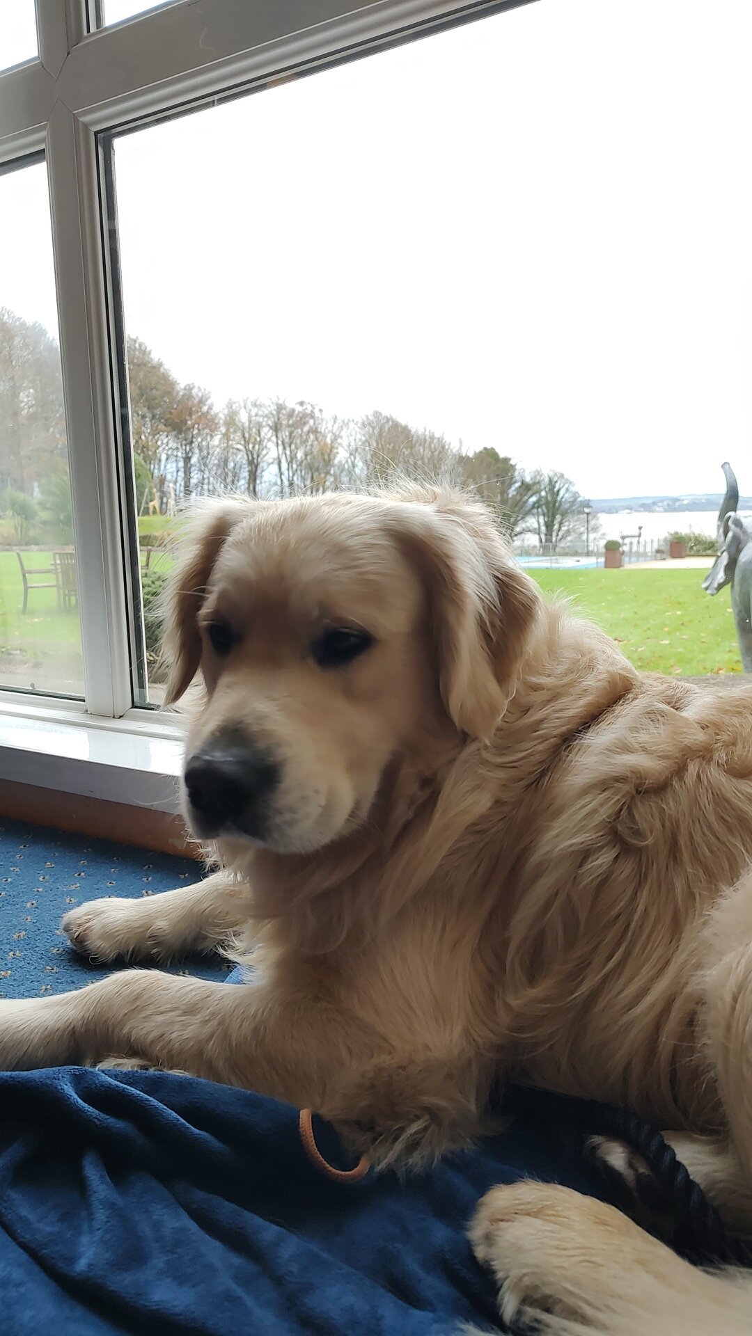 朗斯东克里夫酒店-浴室