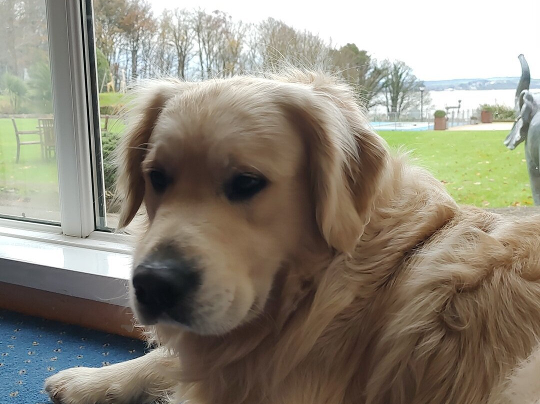 朗斯东克里夫酒店主图