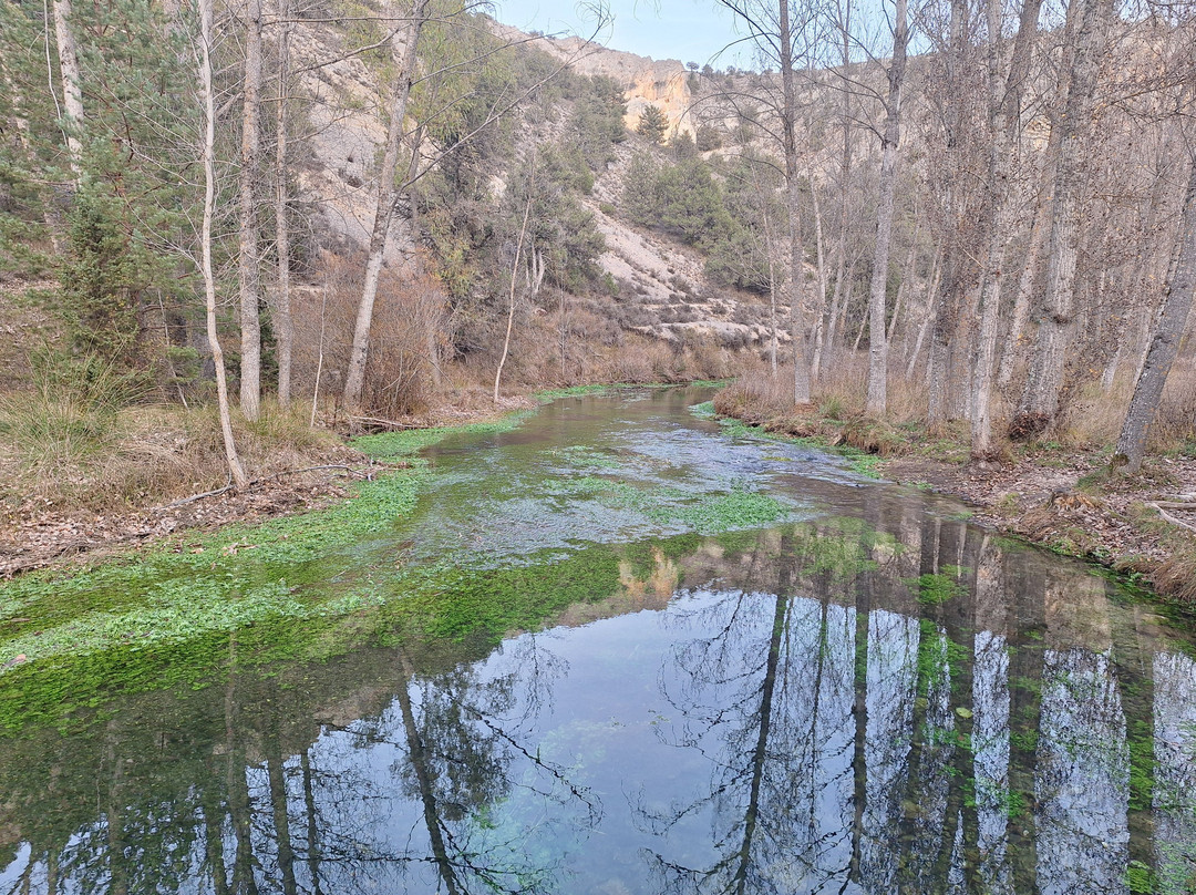 El Nido de Pinares主图