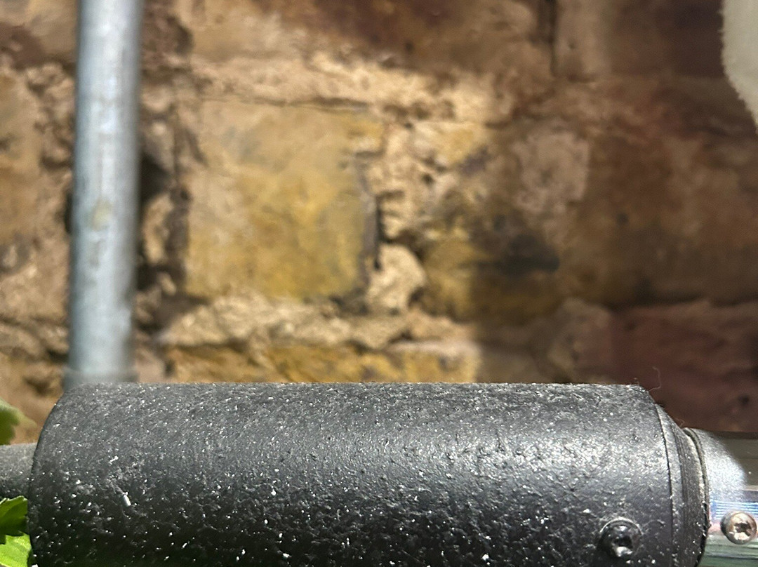 The Foresters Arms主图