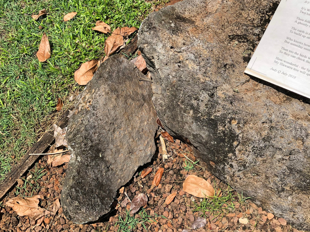 The Afghanistan Avenue of Honour-Yungaburra必去景点