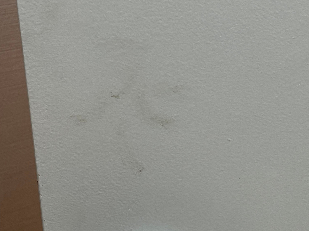 Courtyard by Marriott Florence主图