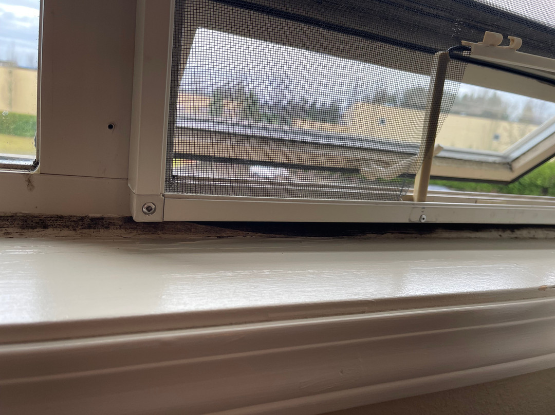 Comfort Inn & Suites Langley主图