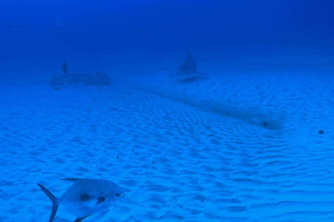 Diverz Den Tulum-图伦必去景点
