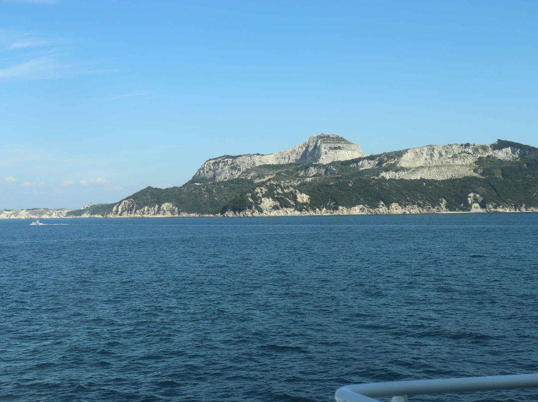 Shodoshima Ferry景点图片