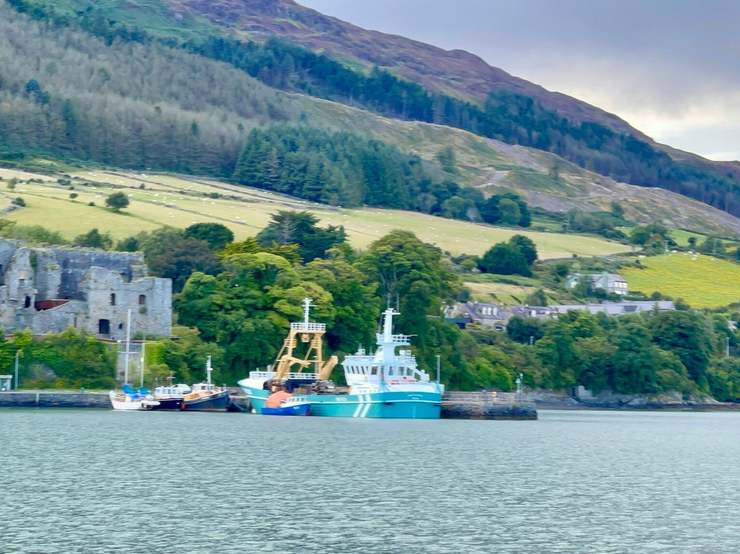 Carlingford Marina-Carlingford必去景点