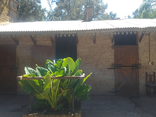 Horse Riding Lessons In Argentina-Zelaya必去景点