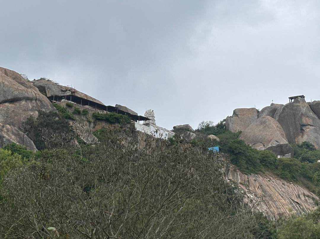Devarayana Durga景点图片