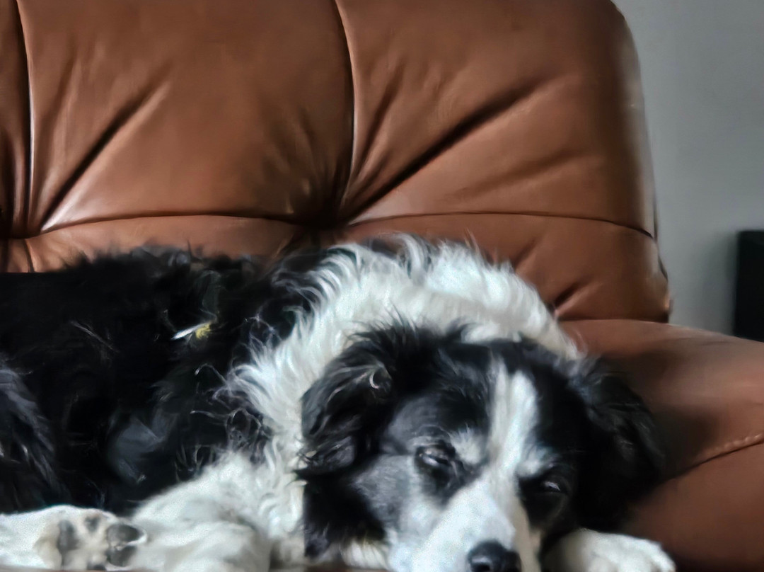 Broadwater Resort Busselton WA Tourism Awards 2022 Gold Winner主图