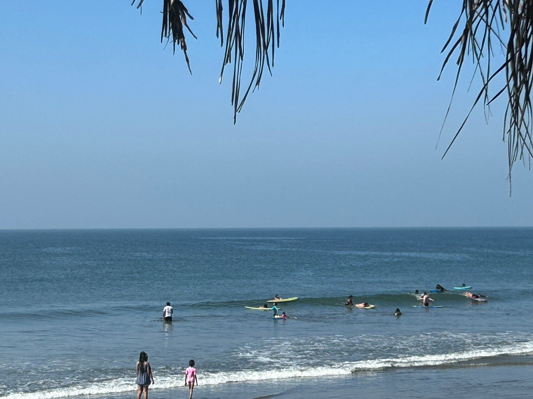 Octopus Surf School Goa-Morjim必去景点