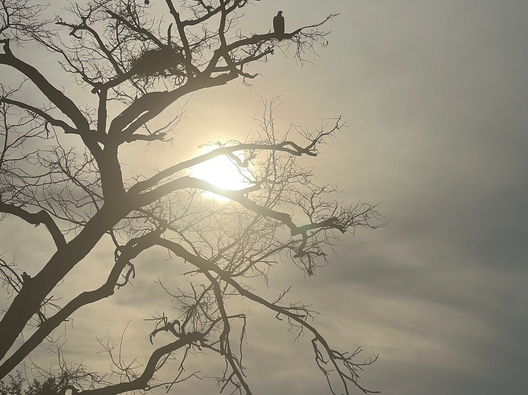 Kori Safaris-Kisoro必去景点