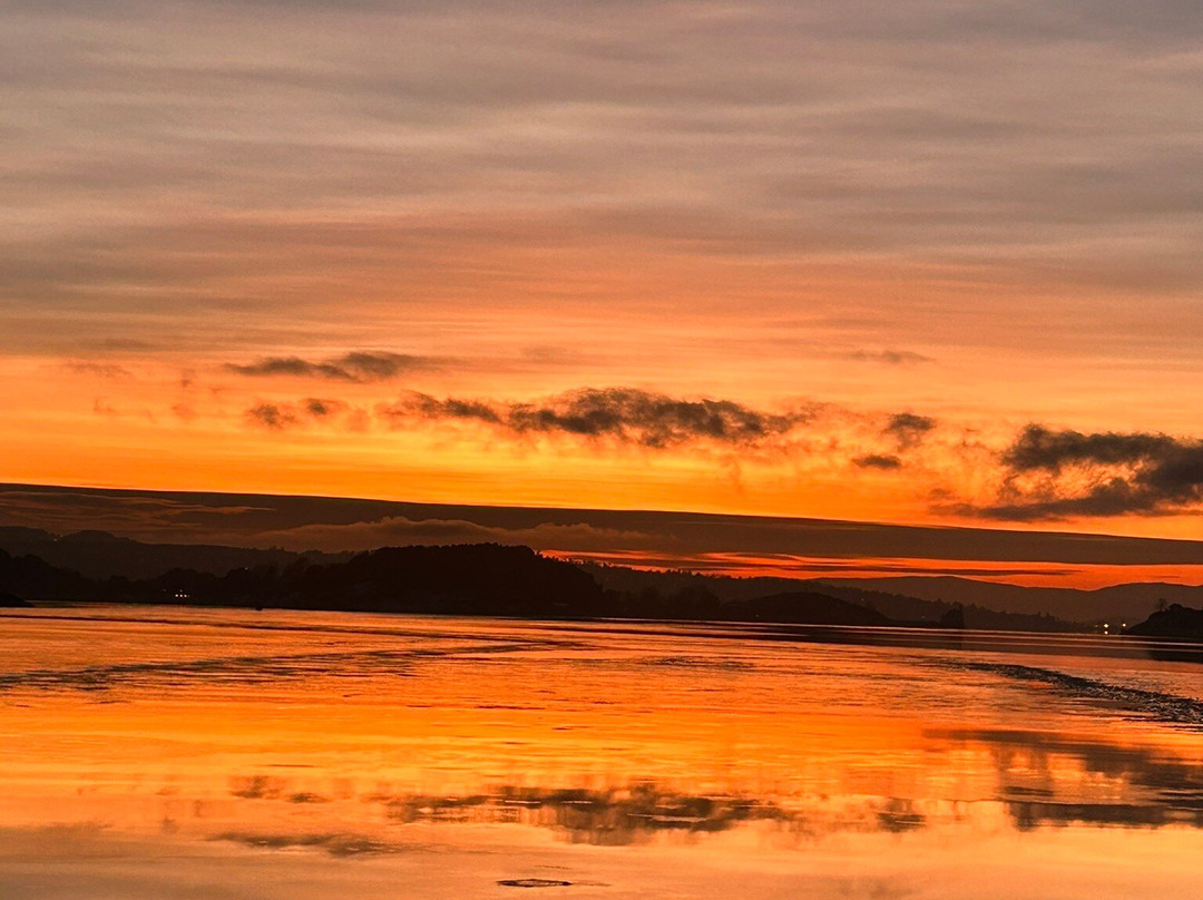 Fjord Cruise Oslofjord-奥斯陆必去景点