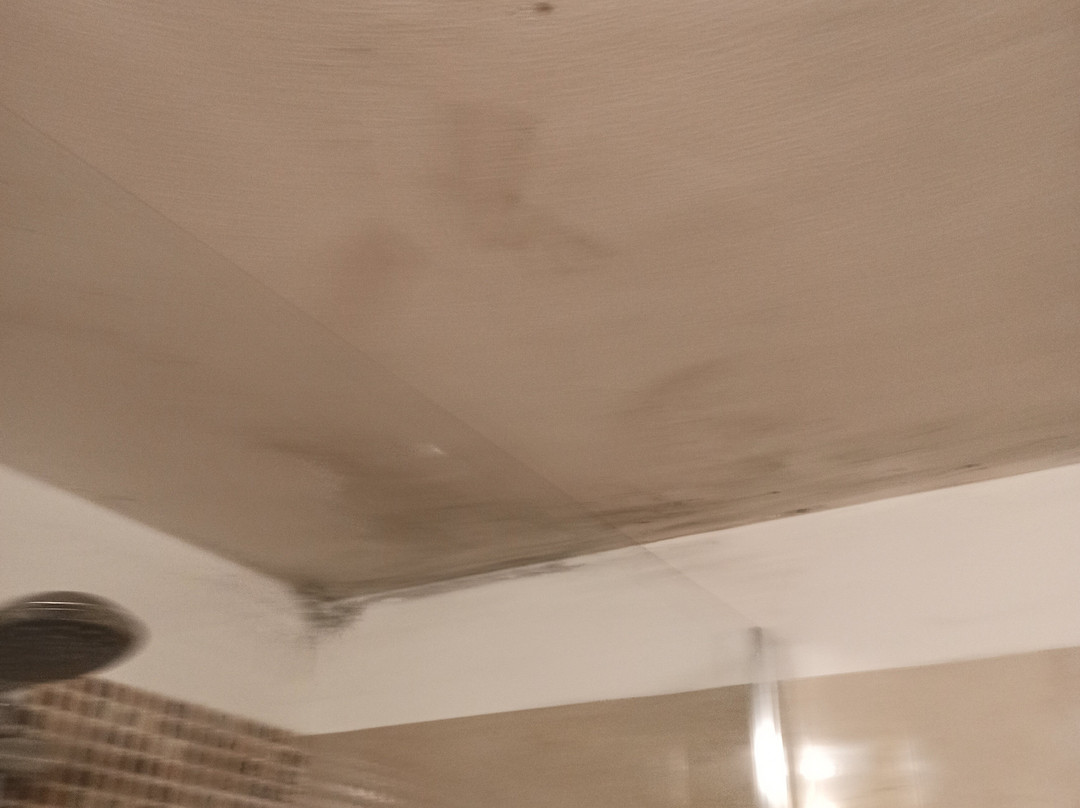 B&B San Domenico主图