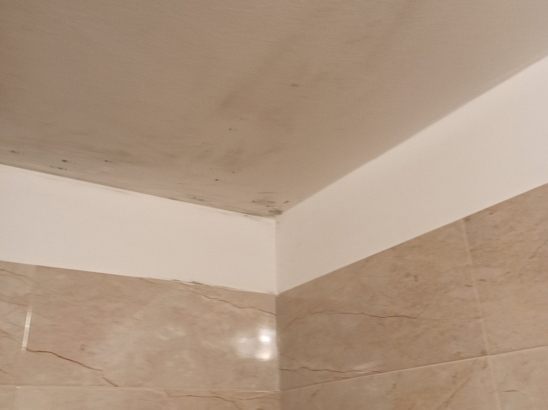 B&B San Domenico主图