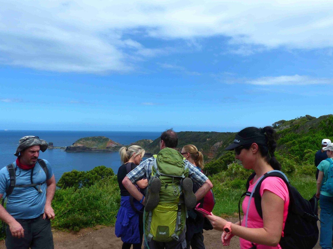 Hike Tribe-墨尔本必去景点