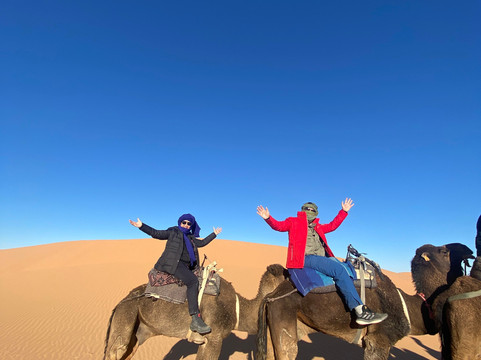 All Morocco Tours-非斯必去景点