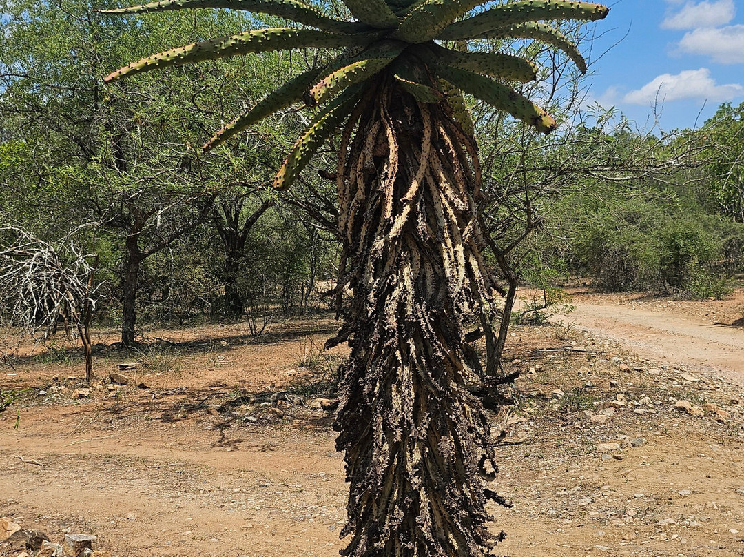 Marloth Park Adventures-玛洛斯帕克必去景点