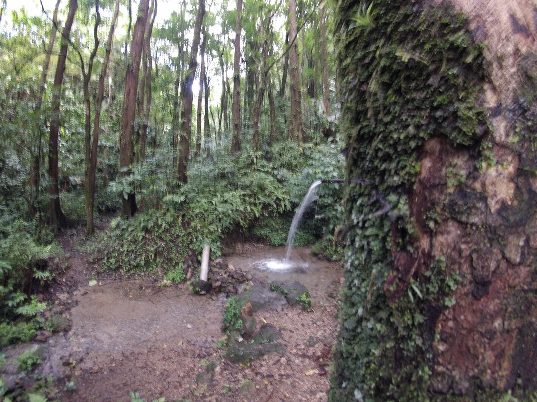 Source Attila-Le Morne-Vert必去景点