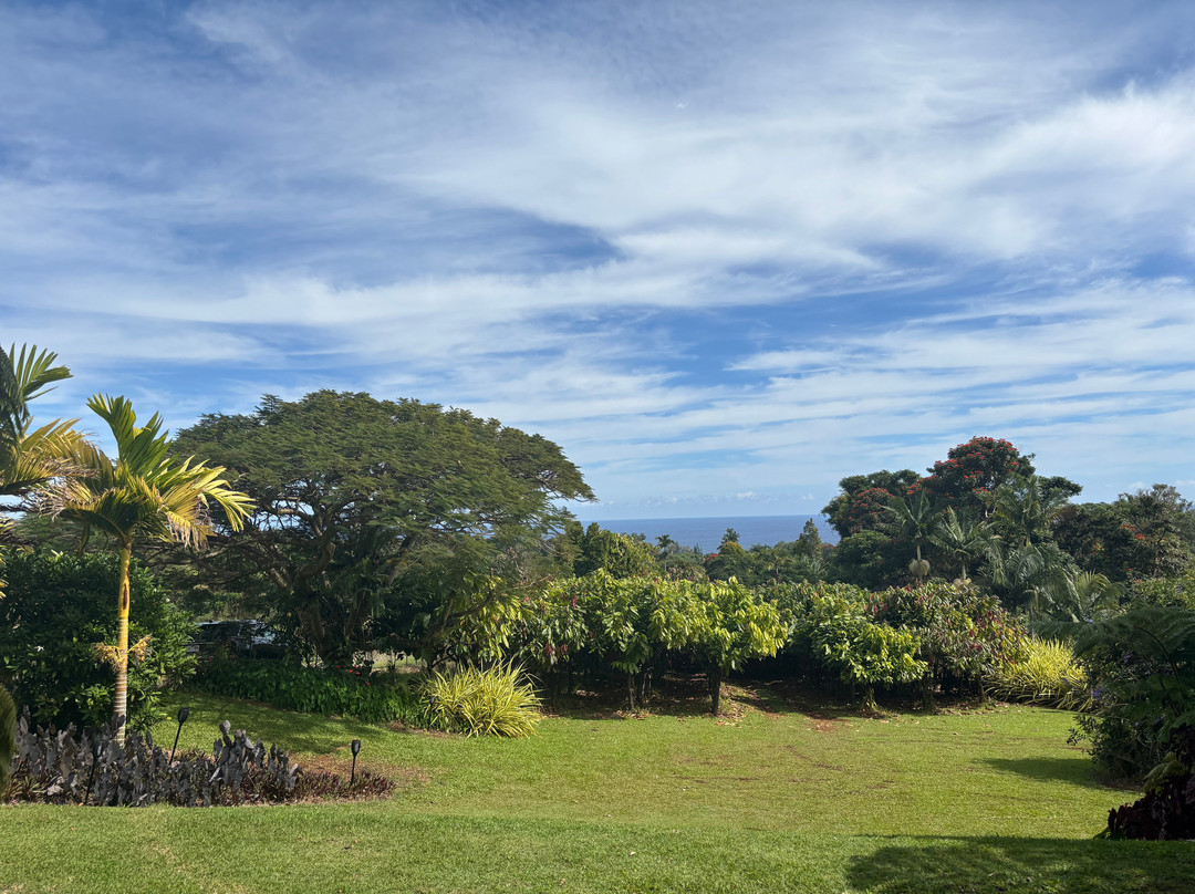 Hamakua Chocolate Farm景点图片