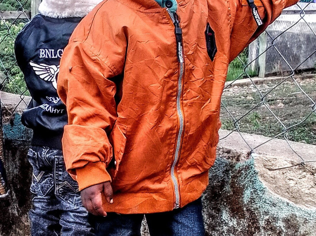 Ifisi Zoo-姆贝亚必去景点