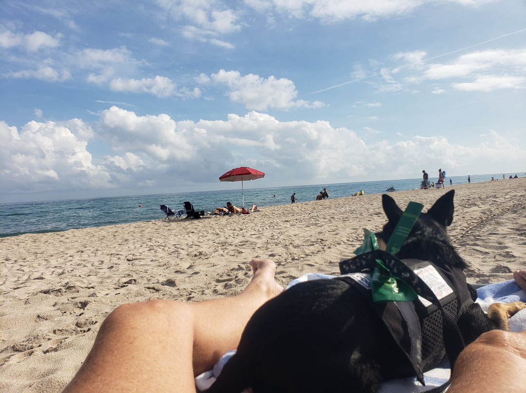 La Costa Beach Club Resort主图